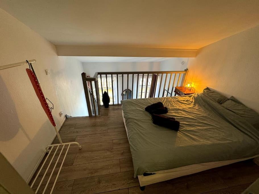 Apartmán Centre Toulouse - Gare Matabiau - Grand Duplex Exteriér fotografie